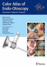 Color Atlas of Endo-Otoscopy : Examination-Diagnosis-Treatment