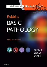 Robbins Basic Pathology (Robbins Pathology)