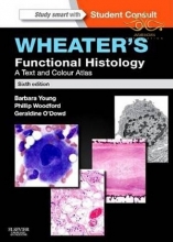 Wheater's Functional Histology : A Text and Colour Atlas