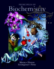 Principles of Biochemistry, 5th edition2011