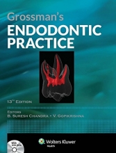 Grossman’s Endodontic Practice 13th Edition