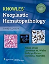 Knowles Neoplastic Hematopathology 3rd Edition2013