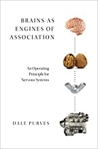 Brains as Engines of Association2019