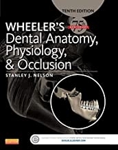 Wheeler's Dental Anatomy, Physiology and Occlusion 2015