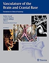 Vasculature of the Brain and Cranial Base