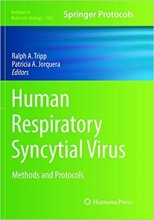 Human Respiratory Syncytial Virus : Methods and Protocols