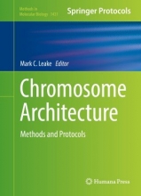 Chromosome Architecture : Methods and Protocols