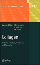 Collagen : Primer in Structure, Processing and Assembly