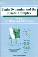 Brain Dynamics and the Striatal Complex