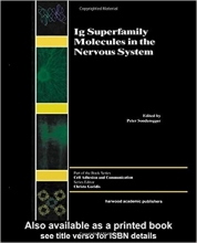 Ig Superfamily Molecules in the Nervous System