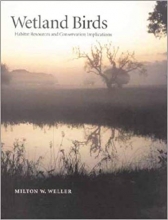 Wetland Birds