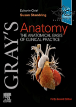 Gray's Anatomy 44 2nd Edition