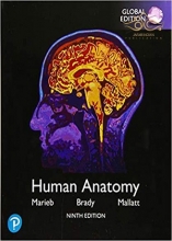 2020 Human Anatomy, Global Edition 9th Edition