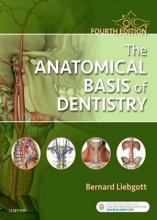 2018 The Anatomical Basis of Dentistry 4th Edition