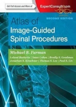 Atlas of Image-Guided Spinal Procedures 2019 2nd Edition