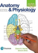 Anatomy and Physiology Coloring Workbook : A Complete Study Guide